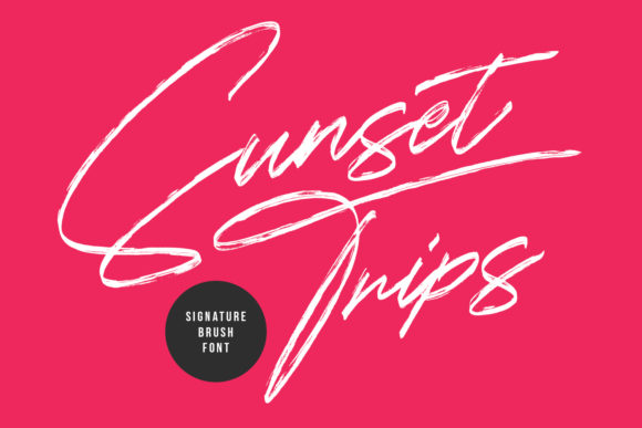 Font That Speaks Volumes: Sunset Trips for Your Brand