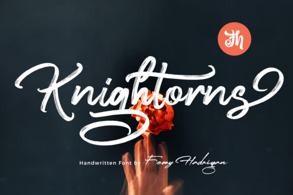 How Knightorns Transformed My Brand’s Visual Identity