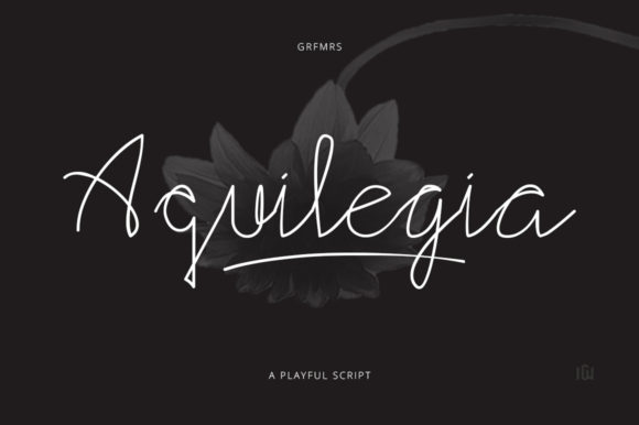 Transform Your Brand with Aquilegia