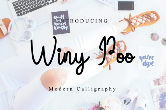 Winy Poo: The Font That Elevates Your Digital Brand